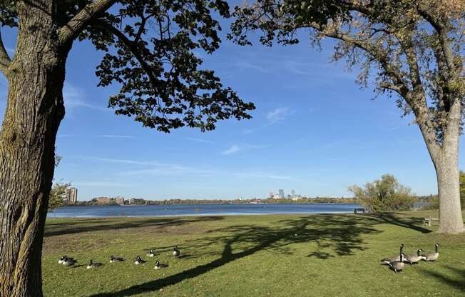 Lake Harriet Scenic Views