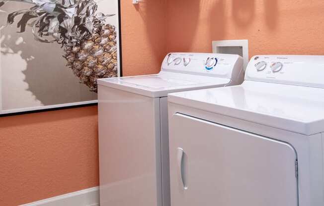 Full Size Washer Dryer in each home at The Sophia at Abacoa, Jupiter, FL