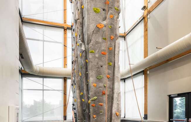 A climbing wall in a room with a mattress on the floor.