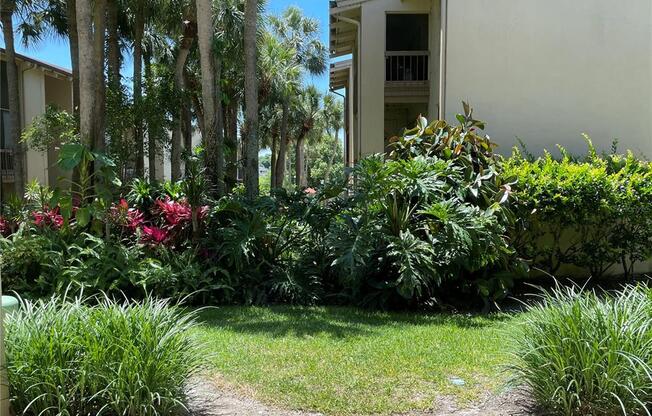 586 ORANGE DR