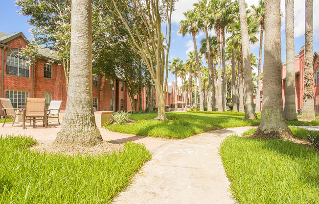 a pathway through palm trees in front of a building