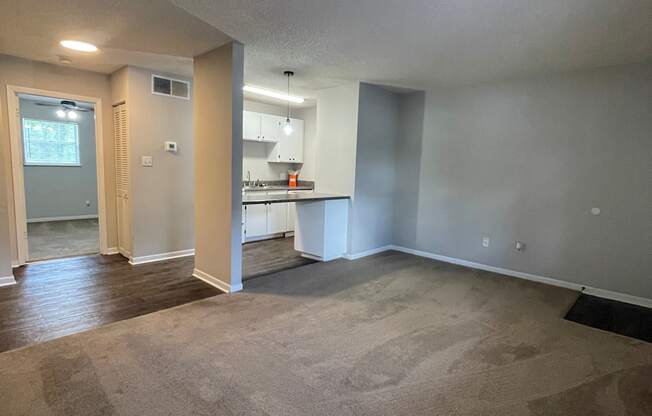 A room with a carpeted floor and a kitchen area in the background.