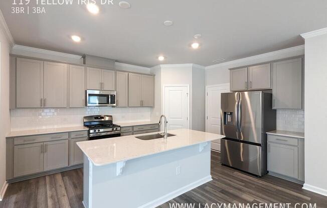 119 YELLOW IRIS DR