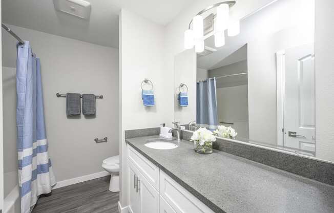 our apartments offer a bathroom with a shower