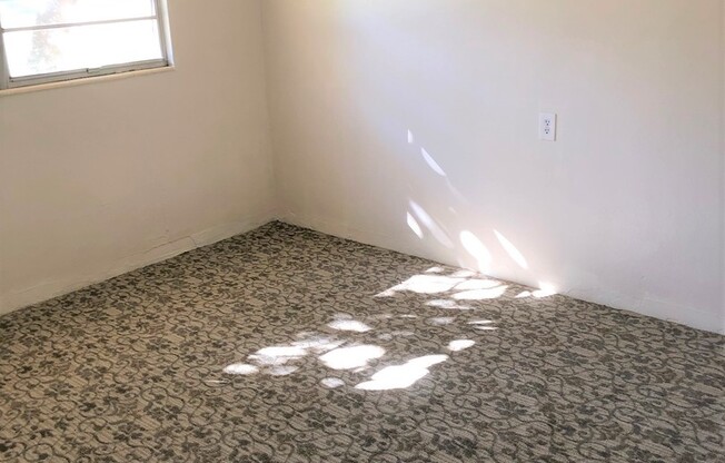 2BR Dade City Apt. Close to PHCC NO APPLICATION FEE! Water, Sewer Trash Inc