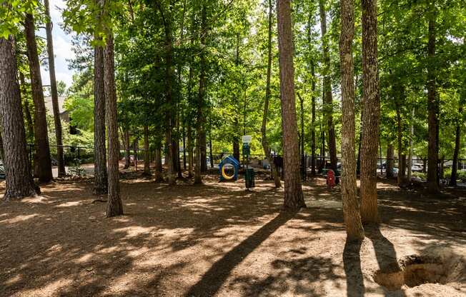 a park with a playground and trees