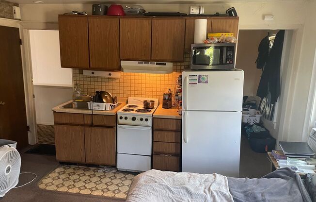 Studio, 1 bath, $1,005