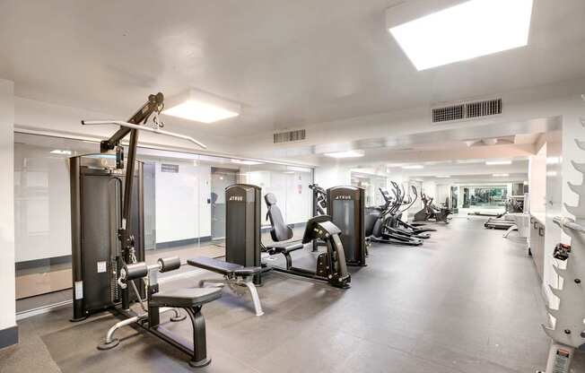 A gym with a variety of equipment including a squat rack, bench press, and treadmill.