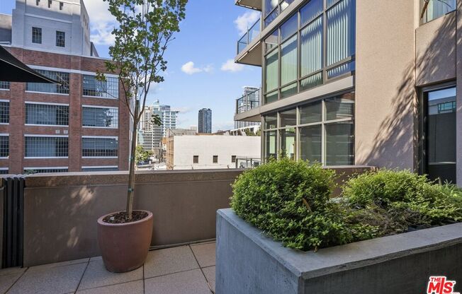 1 bed, 1 bath, 790 sqft, $2,600, Unit 1019