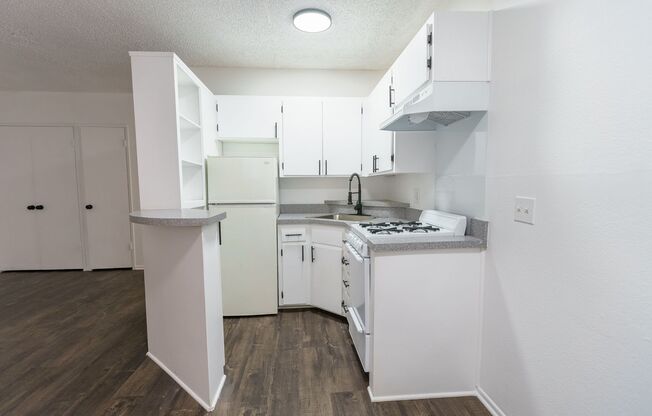 Studio, 1 bath, 495 sqft, $1,448, Unit 103
