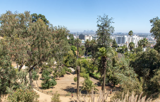 Traverse the paths of Hollywood Hills and Runyon Canyon Park.