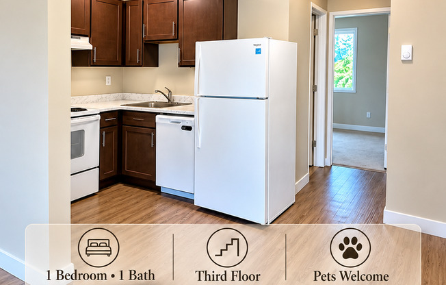1 bed, 1 bath, 525 sqft, $1,150, Unit 50