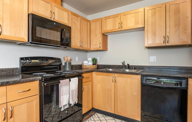 Wood cabinets and black appliance package