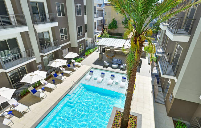 an overhead view of a swimming pool with a palm tree in the middle of it