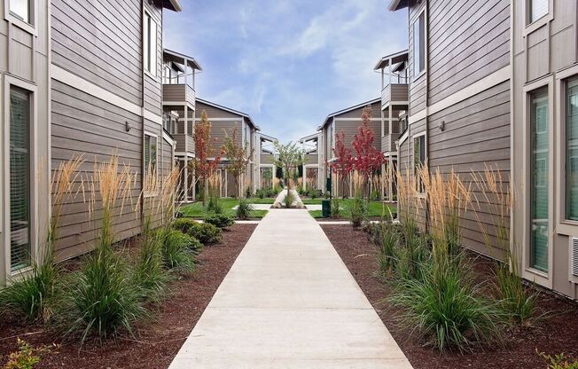 a pathway lined with plants in front of a row of buildings