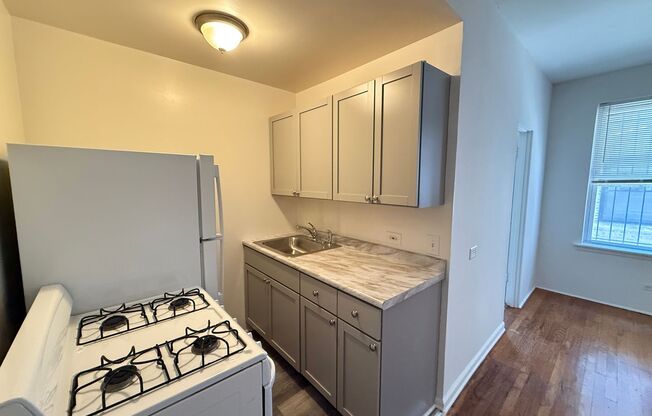 Studio, 1 bath, 300 sqft, $1,050, Unit 5528-108