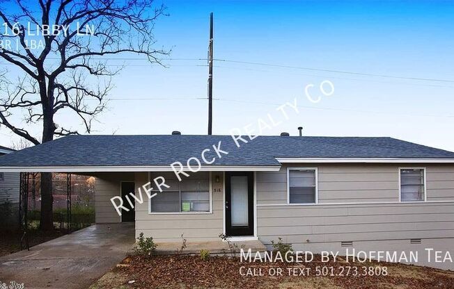 516 LIBBY LN