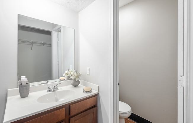 a bathroom with a sink and a mirror and a toilet