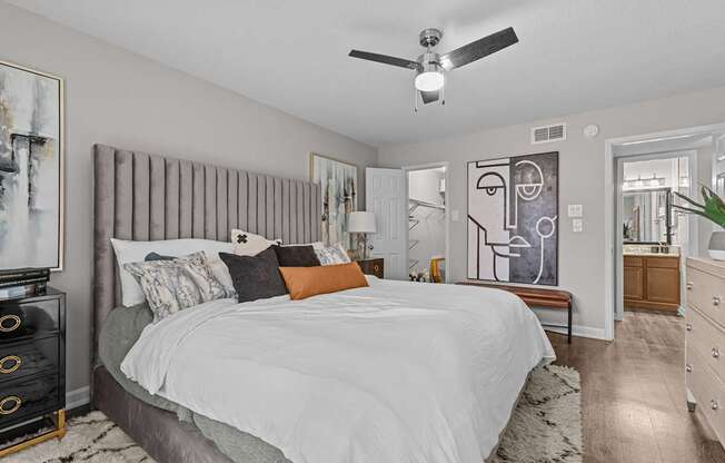 Modern Apartments in North Austin, TX
