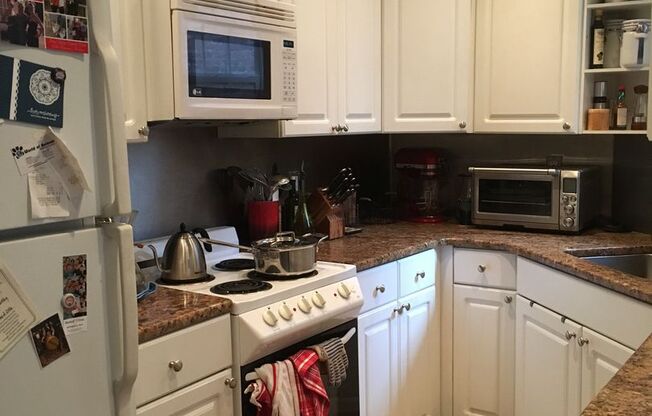 1 bed, 1 bath, 500 sqft, $1,550, Unit 1R