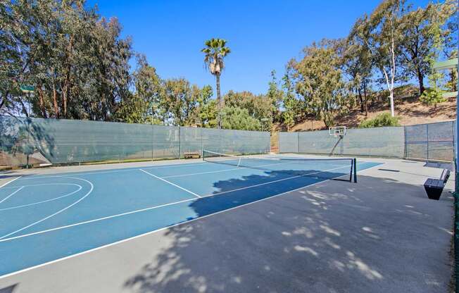 Sports Court at Veranda La Mesa in La Mesa, CA 91942