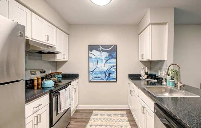 reserve-at-regency-park-kitchen