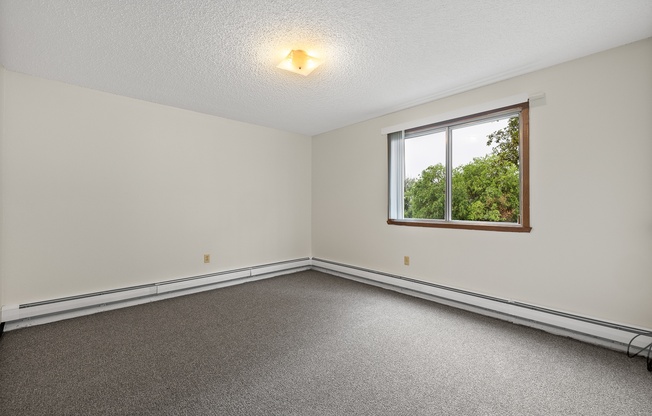 A room with a window and a grey carpet.