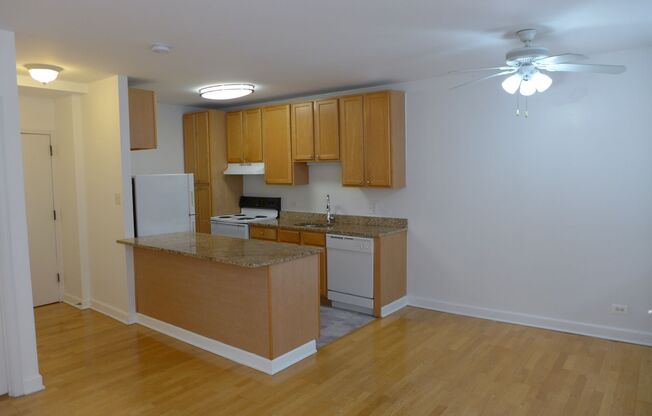 1 bed, 1 bath, 700 sqft, $1,795, Unit 503