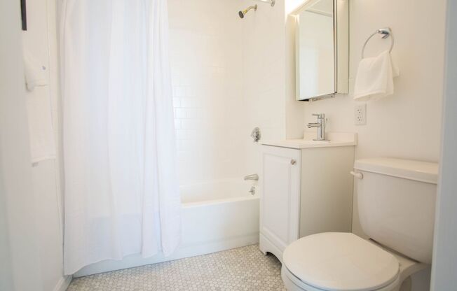 Studio, 1 bath, 355 sqft, $1,500, Unit 715