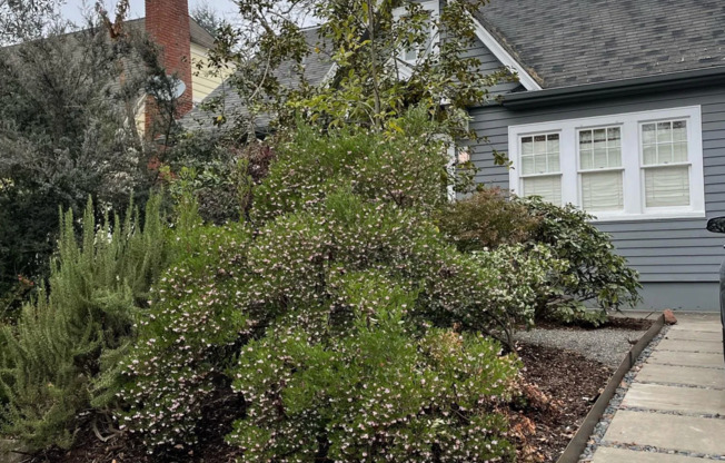 Knott House