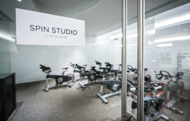 Spin Studio
