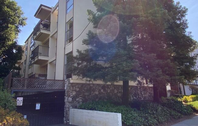 322 Monte Vista -1196