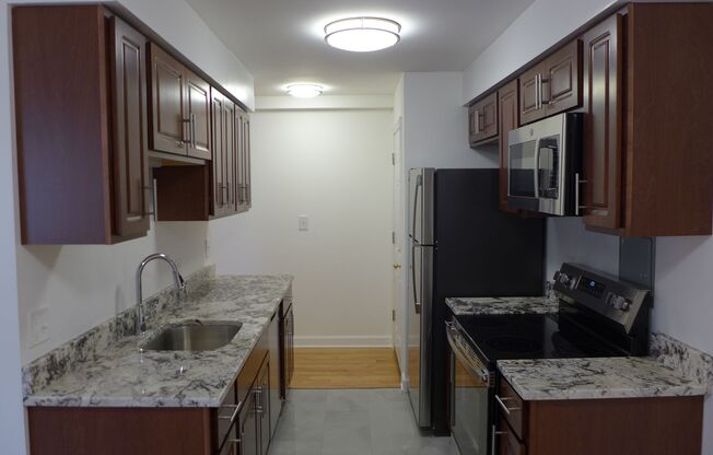 1 bed, 1 bath, 625 sqft, $1,695, Unit 511