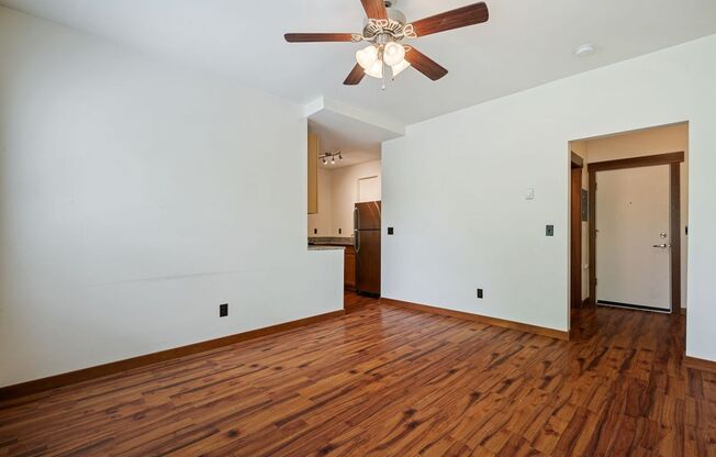 Studio, 1 bath, 359 sqft, $1,325, Unit 205