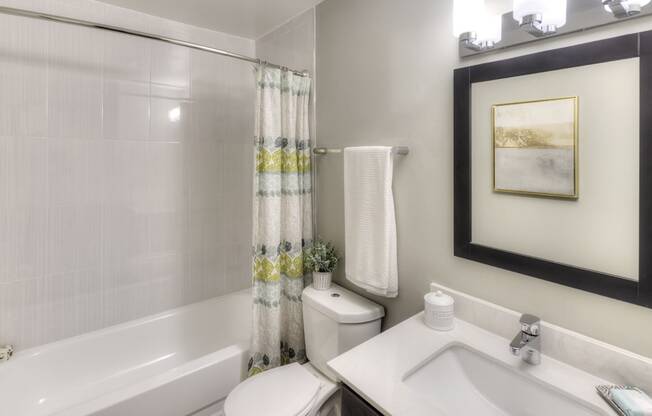 Modern Bathroom Fittings, at Eagle Creek Apartments, Westmont, IL