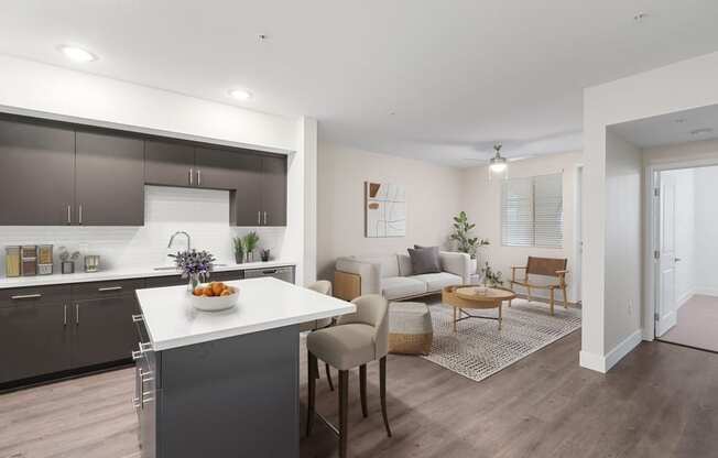 Model kitchen and living spaces