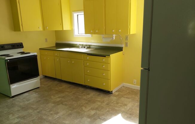 Cozy 1 Bed, 1 Bath House with Big Backyard and Outdoor Deck!