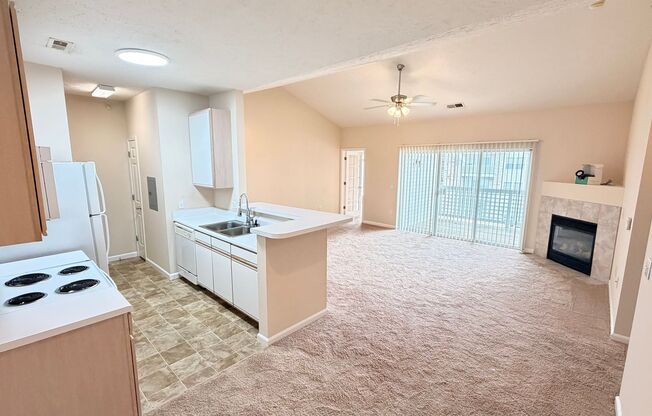 1 bed, 1 bath, 982 sqft, $1,142, Unit 07-203