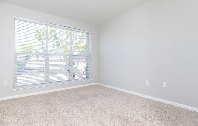 A bright, empty room with light gray walls and a large window featuring white blinds. The floor is covered in light beige carpet, and there are no furnishings, creating a clean, spacious feel. Natural light floods the room, highlighting the simplicity of the design.