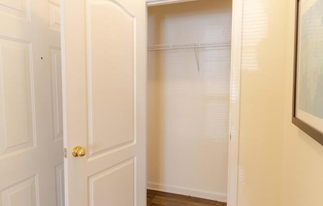 A white door with a gold handle is open to a white closet.