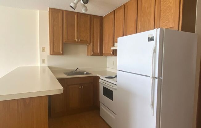 Studio, 1 bath, $850, Unit 210