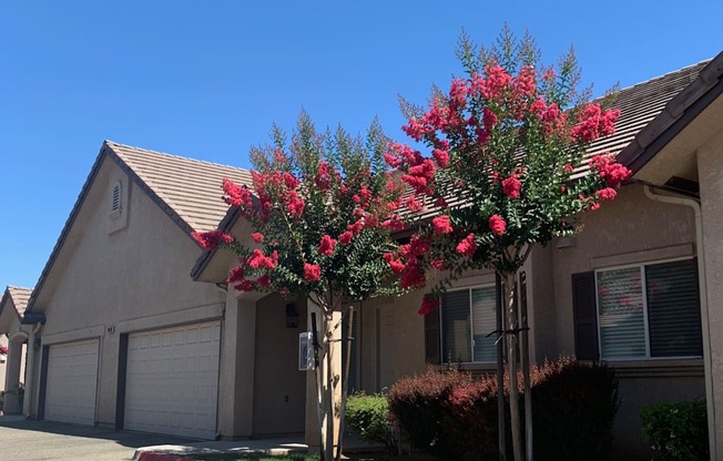 Welcome to Nees Park Villas