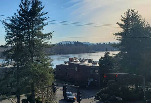 Studio, 1 bath, 456 sqft, $1,295, Unit 1105