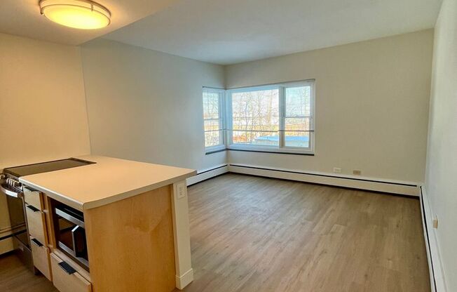 1 bed, 1 bath, 488 sqft, $1,250, Unit 203