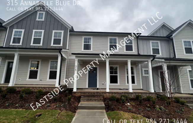 315 ANNABELLE BLUE DR