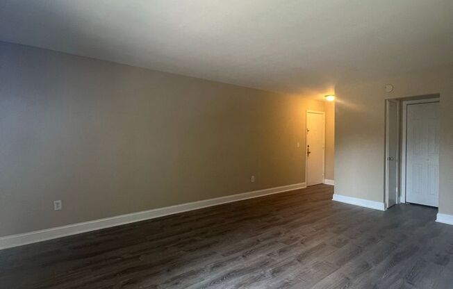 Studio, 1 bath, 450 sqft, $1,450