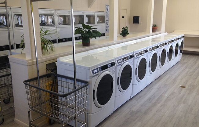 Bright One-Bedroom Retreat at The Reserve