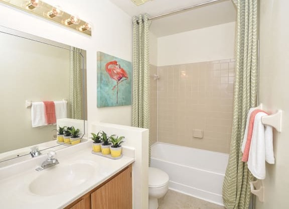 Large Bathroom Counter with Shower and Tub