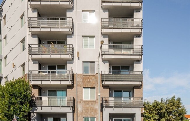 1 bed, 1 bath, 710 sqft, $2,775, Unit 312