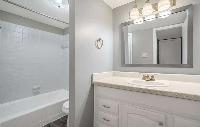 a bathroom with a sink and a mirror and a tub